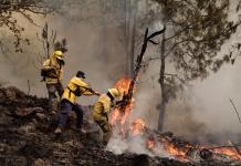 Brigadas de bomberos de Jalisco van a Canadá para la temporada crítica de incendios