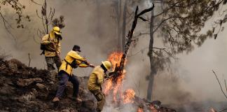 AI insta a Gobiernos suramericanos a evitar una catástrofe climática ante ola de incendios