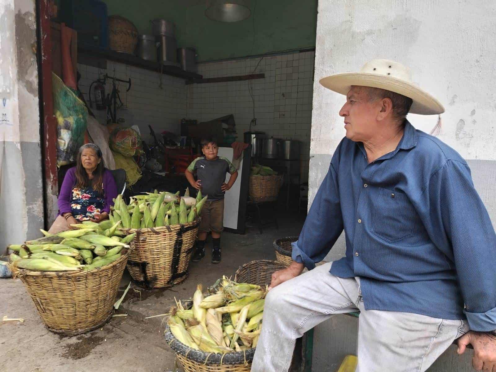 Eloteros de Guadalajara compran a mejor precio la tonelada de maíz que el gobierno y la industria