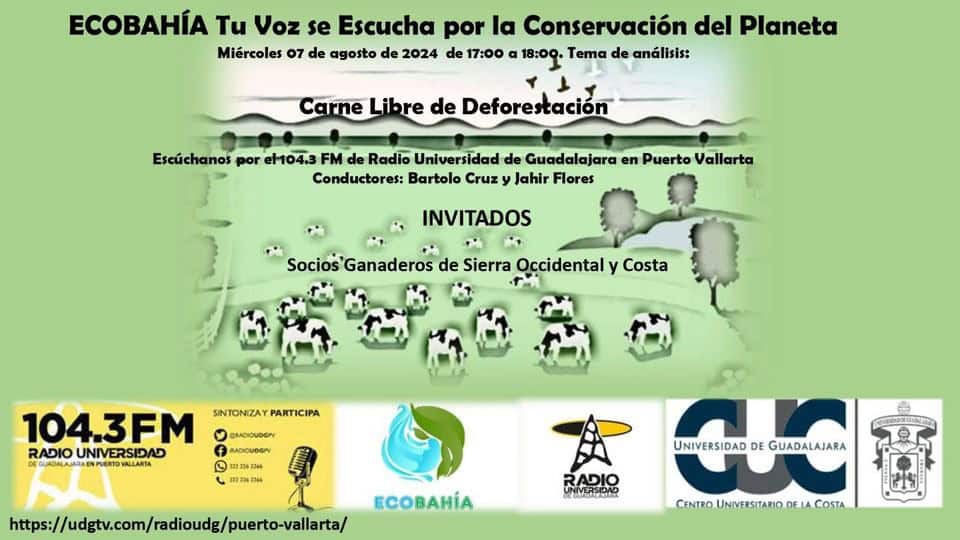 Ecobahía - 07 de agosto del 2024