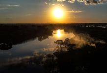 Deforestación de la Amazonía brasileña registra primer aumento en 15 meses