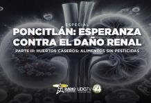 Poncitlán: Esperanza contra el daño renal | Parte III: Huertos caseros: alimentos sin pesticidas