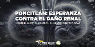 Poncitlán: Esperanza contra el daño renal | Parte III: Huertos caseros: alimentos sin pesticidas