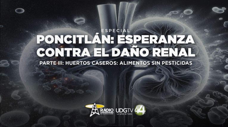 Poncitlán: Esperanza contra el daño renal | Parte III: Huertos caseros: alimentos sin pesticidas