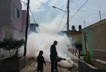 Hay más casos de dengue en Jalisco, pero no muertes confirmadas: Salud Jalisco