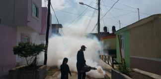 Hay más casos de dengue en Jalisco, pero no muertes confirmadas: Salud Jalisco