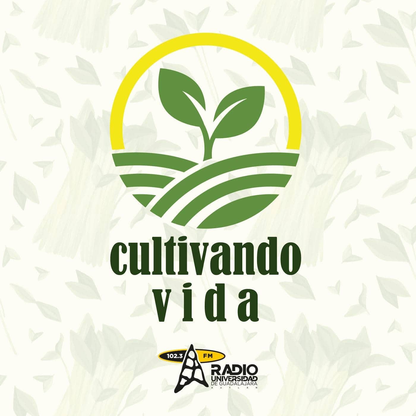 Cultivando Vida – 06 de Septiembre de 2024