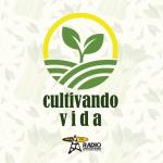 Cultivando Vida – 23 de Agosto de 2024