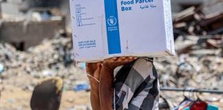 Programa Mundial de Alimentos suspende los movimientos de su personal en Gaza por disparos a vehículo