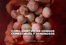 Cómo identificar hongos comestibles y venenosos - El Expresso de las 10 - Mi. 28 Agosto 2024