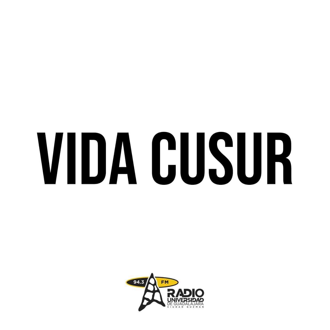 Vida CUSur 28 de agosto del 2024