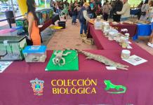 Inauguran la “Colección Biológica Itinerante” y la exposición “Belleza Alada” en la Rectoría General de la UdeG