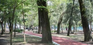 Plantan mal y a medias árboles en el Parque San Rafael 