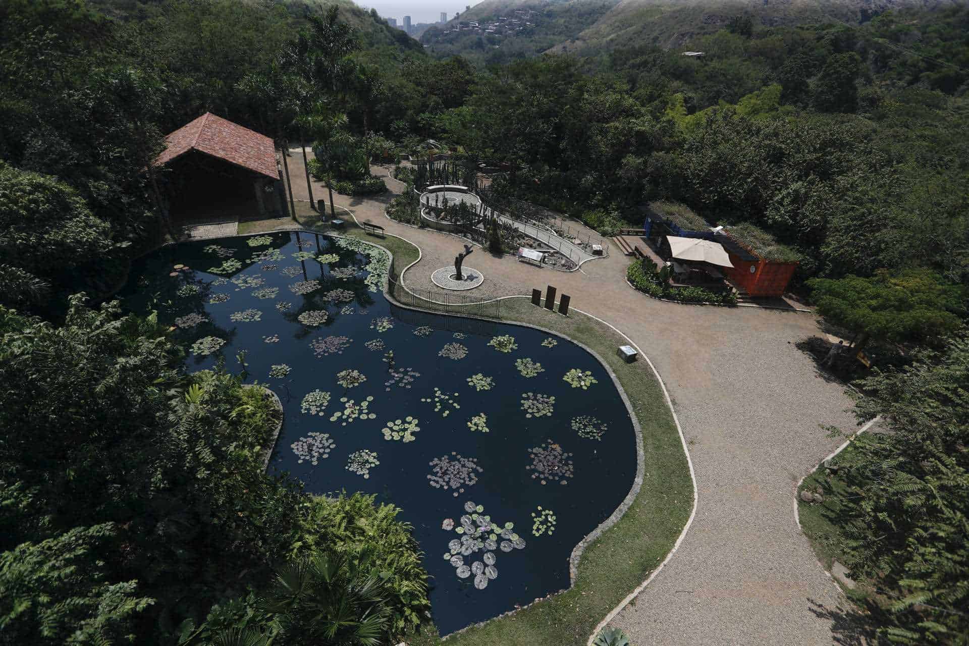 El jardín Botánico de Cali, el lugar donde se cuida el oro verde de Colombia