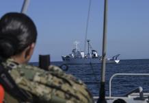 México investiga la muerte de centenares de tortugas marinas