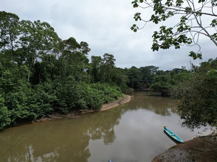 Basta: El clamor de indígenas ante la explotación petrolera en la Amazonía ecuatoriana