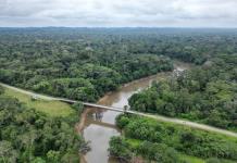 La Amazonía perdió 88 millones de hectáreas de bosques desde 1985, según un estudio