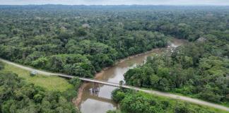 Basta: El clamor de indígenas ante la explotación petrolera en la Amazonía ecuatoriana