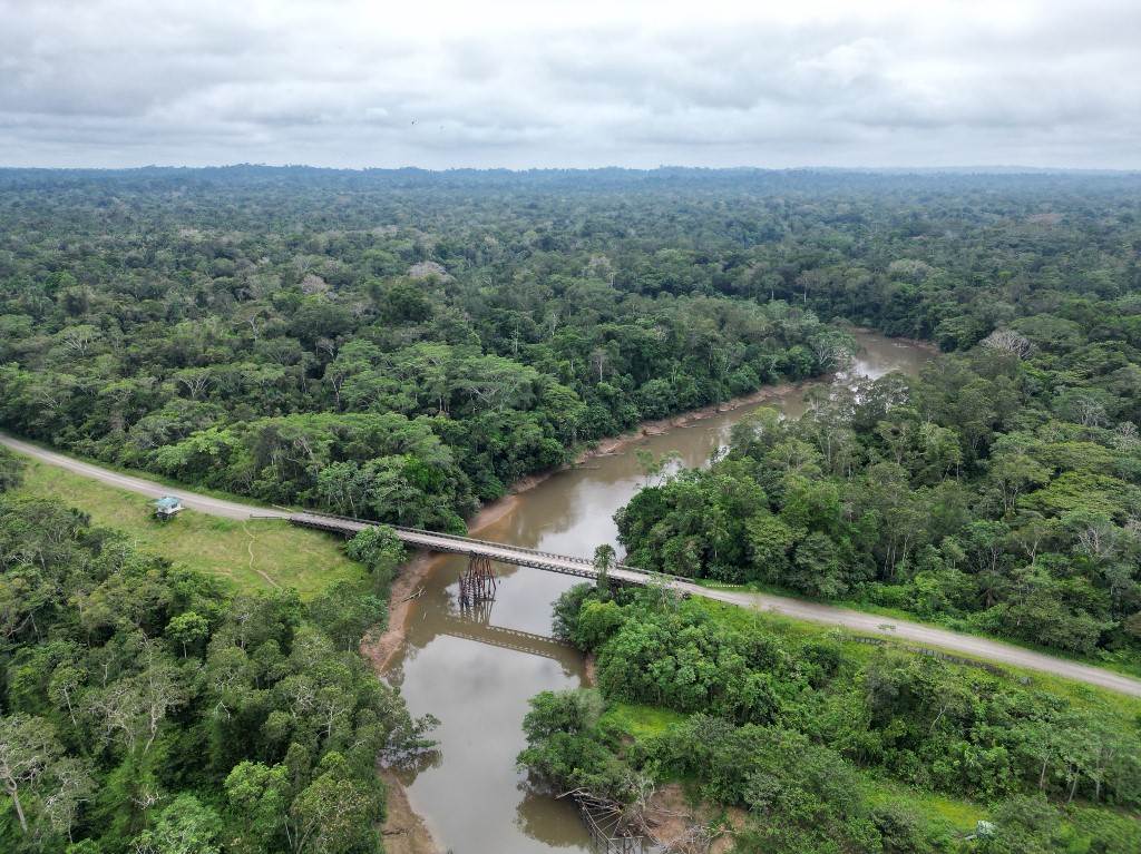 La extracción ilegal de madera en la Amazonía brasileña creció un 19 % en un año