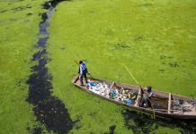 Cada año se liberan más de 52 millones de toneladas de plásticos al medioambiente