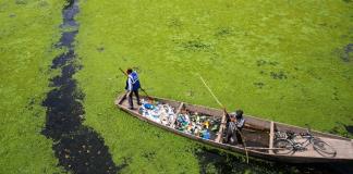 Cada año se liberan más de 52 millones de toneladas de plásticos al medioambiente