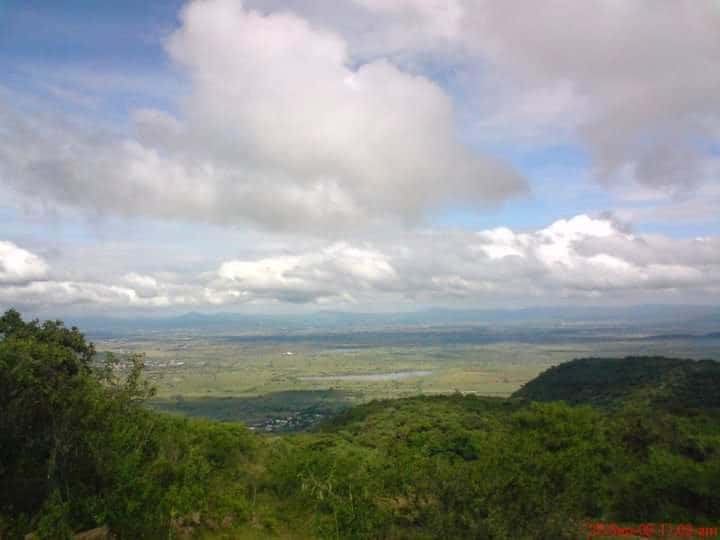 Instalan Consejo Técnico para conservar bosques de las sierras de Chapala