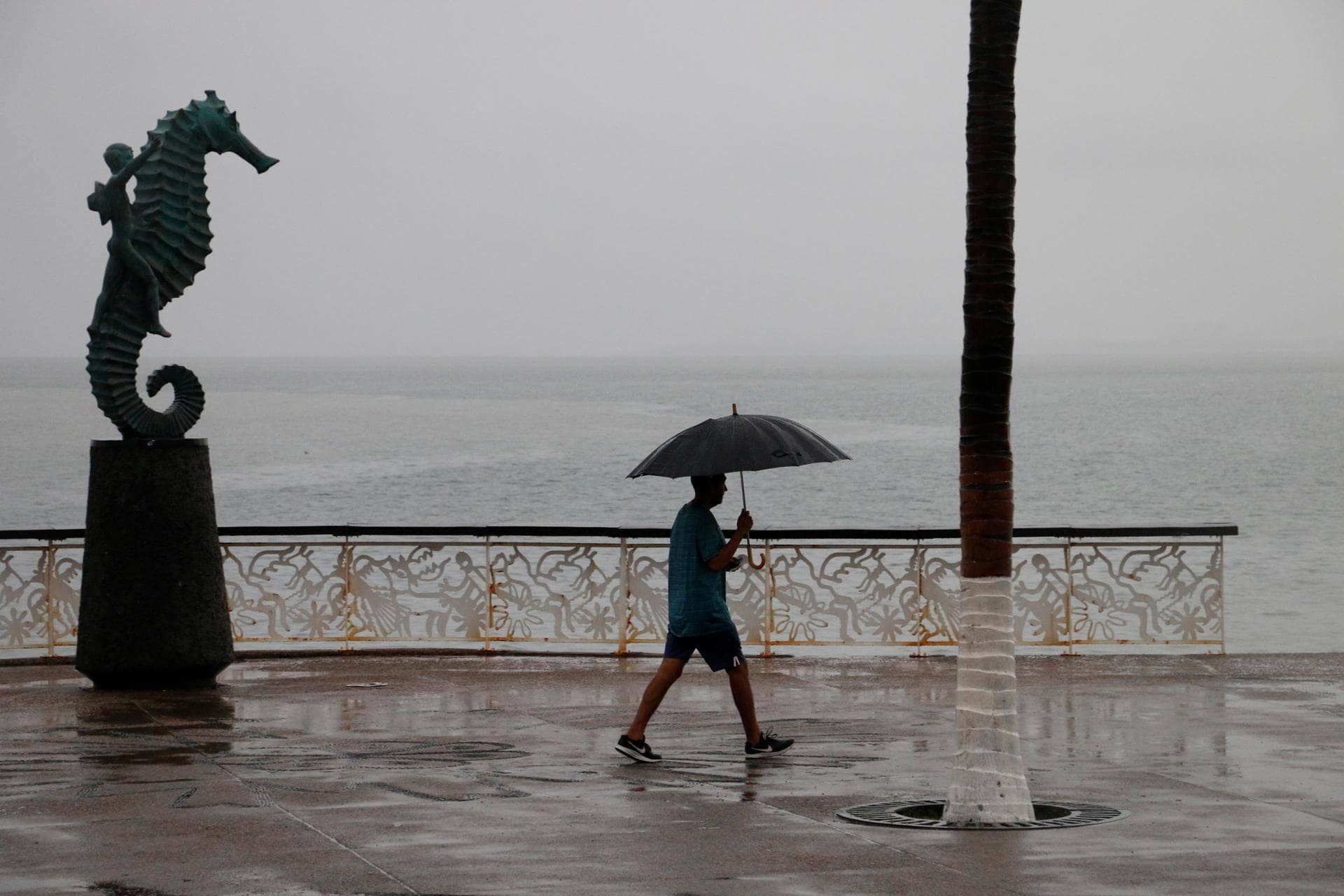 Vuelven las lluvias a Ecuador tras 48 días de extrema sequía e incendios forestales