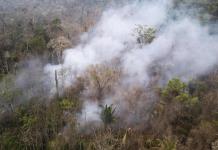 Sube a 15 la cifra de fallecidos por los incendios forestales en la Amazonía peruana