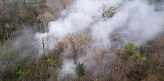 Sube a 15 la cifra de fallecidos por los incendios forestales en la Amazonía peruana