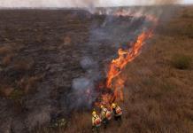 Jefe de policía en Brasil aboga por penas más duras contra autores de incendios