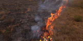 Jefe de policía en Brasil aboga por penas más duras contra autores de incendios