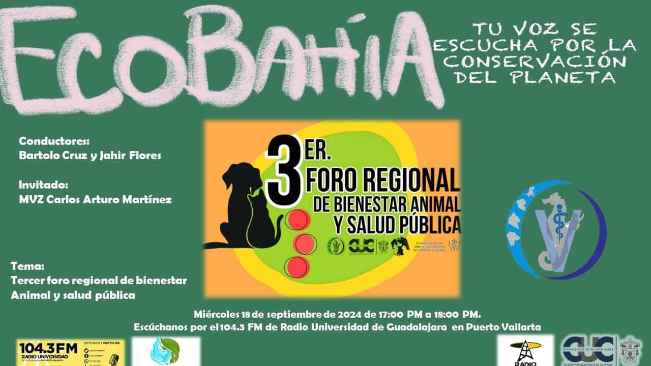 Ecobahía - 18 de Septiembre del 2024