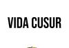 Vida CUsur 13 08 2025