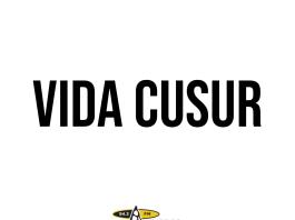 Vida CUSur | 09 de Julio del 2025
