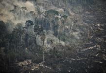 Casi medio centenar de incendios forestales asolan la selva y Andes de Perú