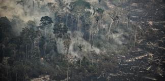 Casi medio centenar de incendios forestales asolan la selva y Andes de Perú