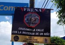 Salvando Vidas impulsa campaña de educación vial y prevención de atropellamiento de perros y gatos en Ocotlán