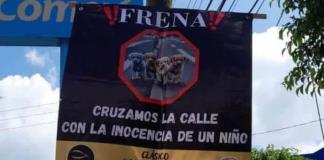 Salvando Vidas impulsa campaña de educación vial y prevención de atropellamiento de perros y gatos en Ocotlán