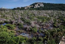 La contaminación de las lagunas del puerto de Acapulco se agrava a casi un año de Otis