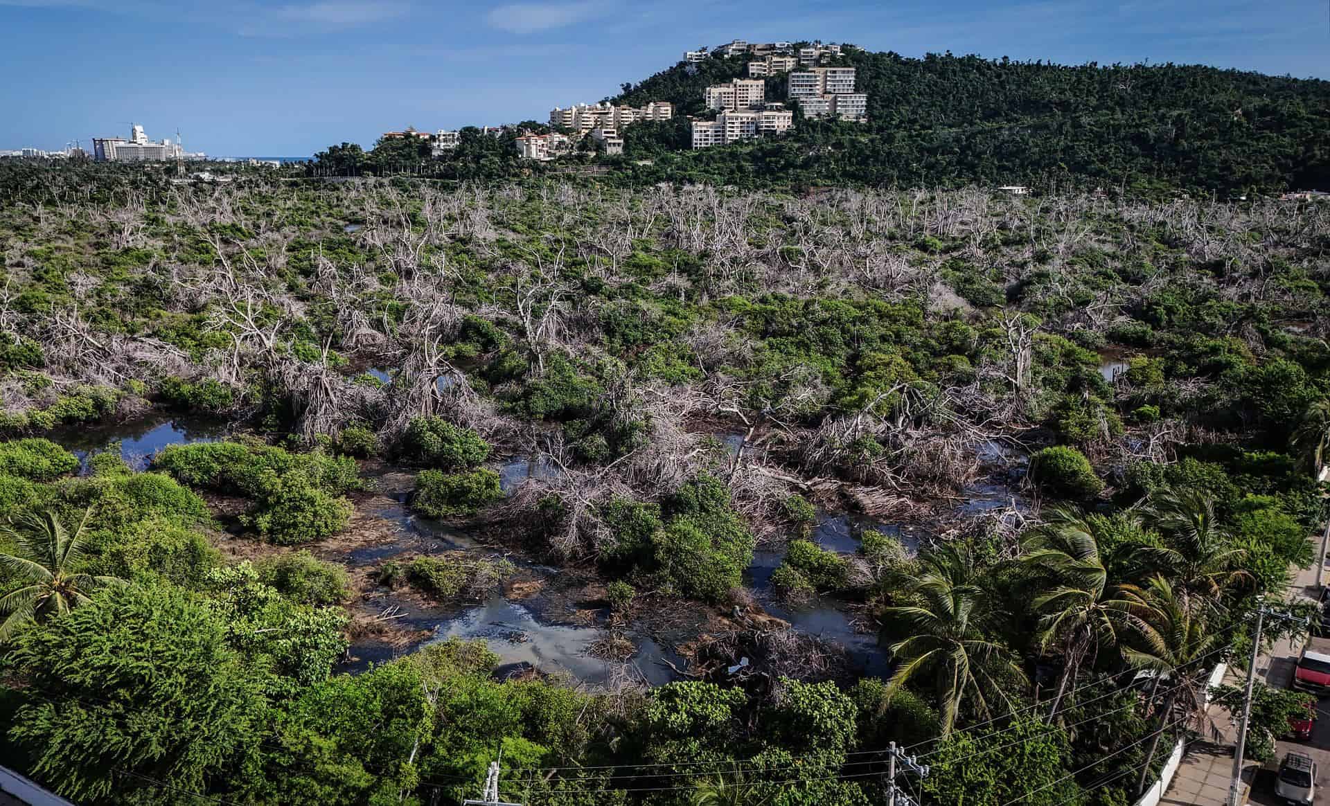 El agua también está bajo ataque, advierte el presidente del Consejo Mundial del Agua