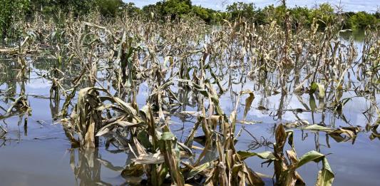 Cambio climático tiene relación directa con inseguridad alimentaria mundial, afirma especialista