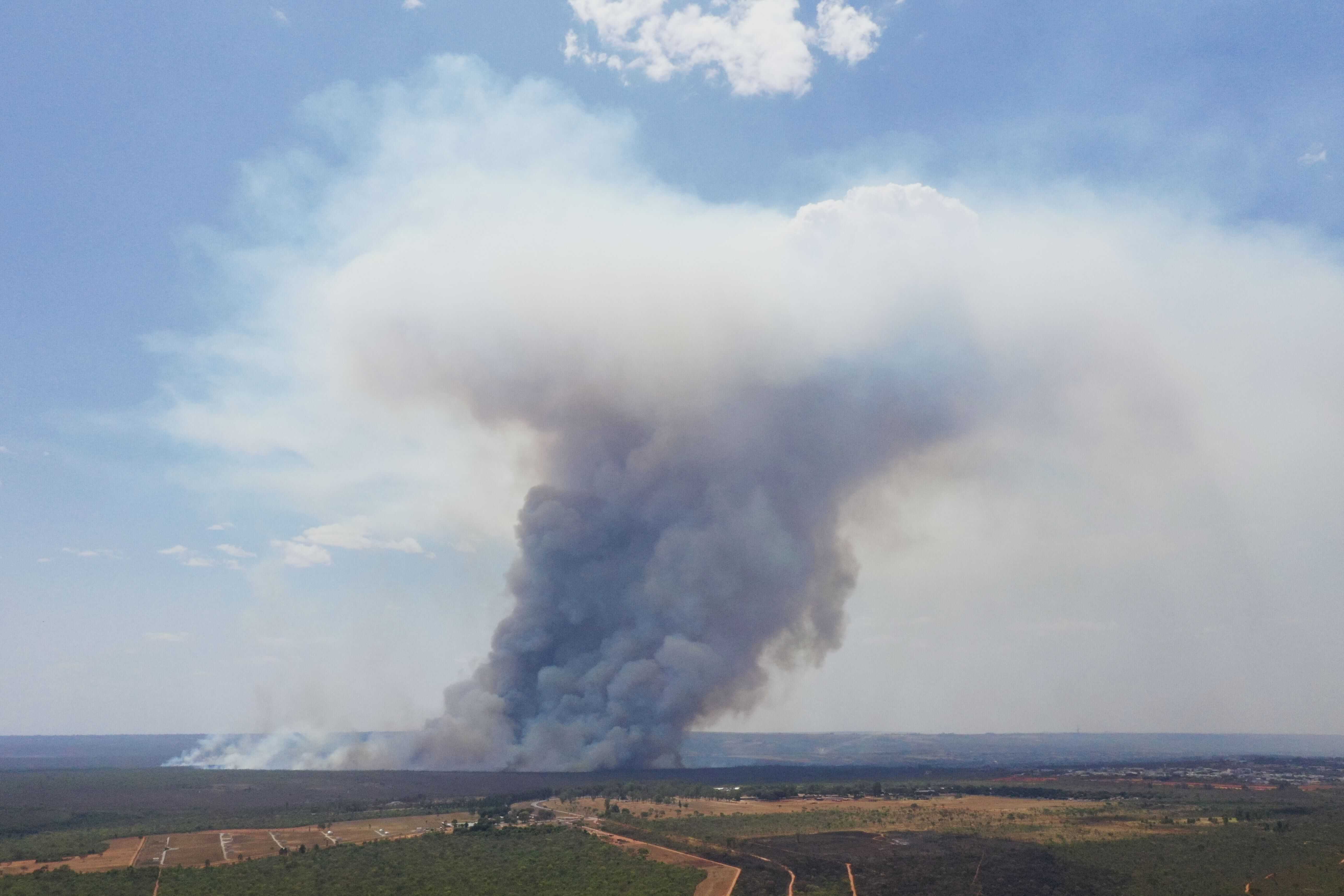 Los incendios forestales han disparado un 60% las emisiones mundiales de CO2 en 2 décadas