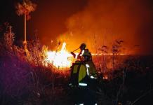 Bolivia decreta desastre nacional por incendios forestales