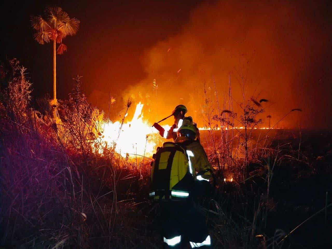 Los incendios forestales han disparado un 60% las emisiones mundiales de CO2 en 2 décadas