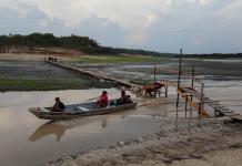 Situación crítica en afluentes del río Amazonas por sequía en Brasil