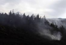 La Comisión Europea cede a presiones y propone aplazar aplicación de ley contra la deforestación