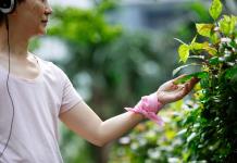 Un estudio sugiere que la música ayuda al crecimiento de plantas