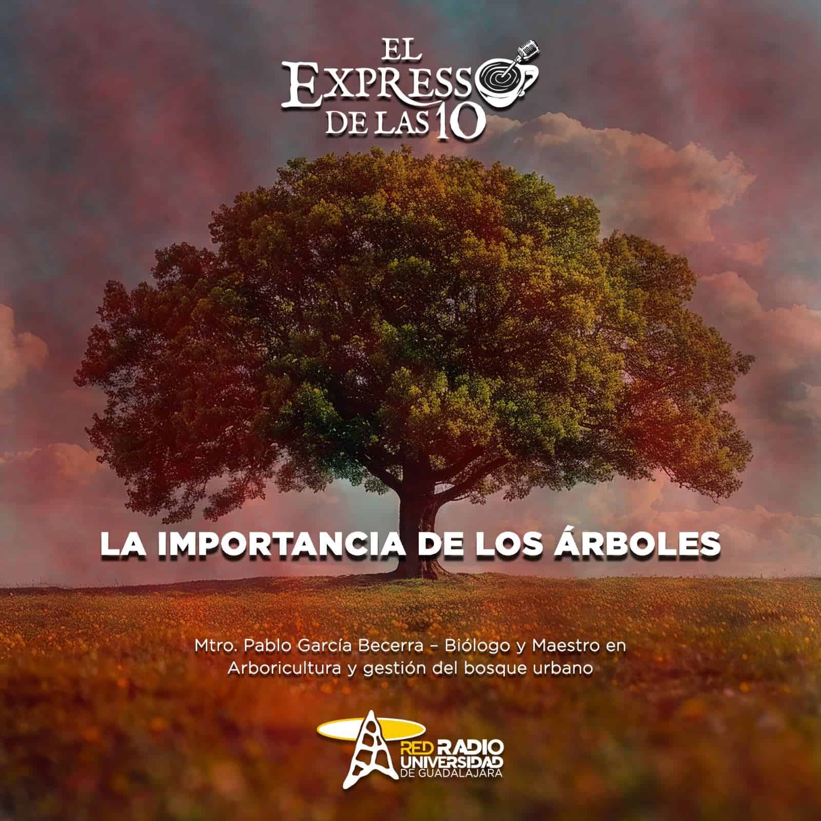 La importancia de los árboles - El Expresso de las 10 - Mi. 02 Octubre 2024