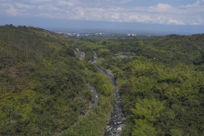 COP16, una cita mundial en Colombia para cumplir los compromisos sobre biodiversidad