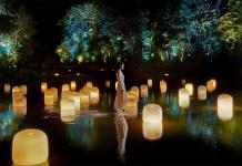 TeamLab abre una nueva exposición nocturna en Japón entre arrozales y bosques frondosos